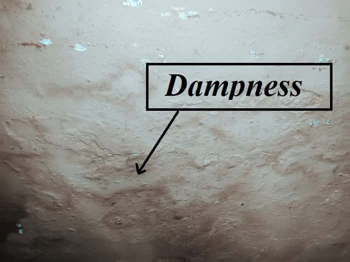 Dampness Meaning In English