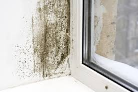 condensation Dampness