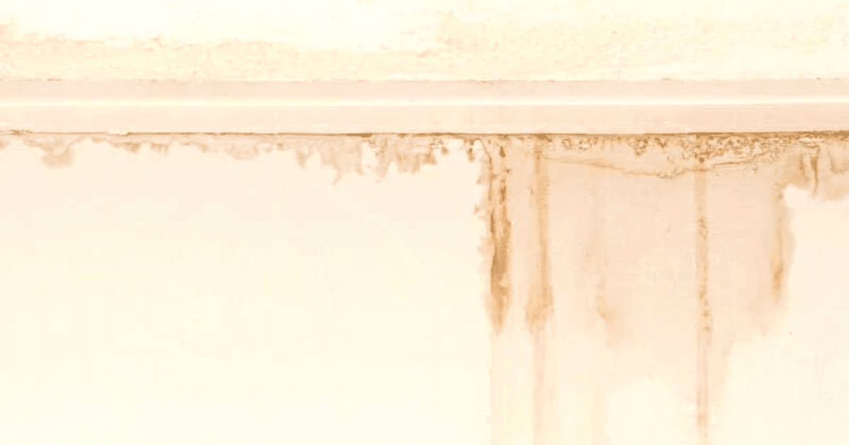 Water Seepage in Walls? Don’t Know What Caused It?